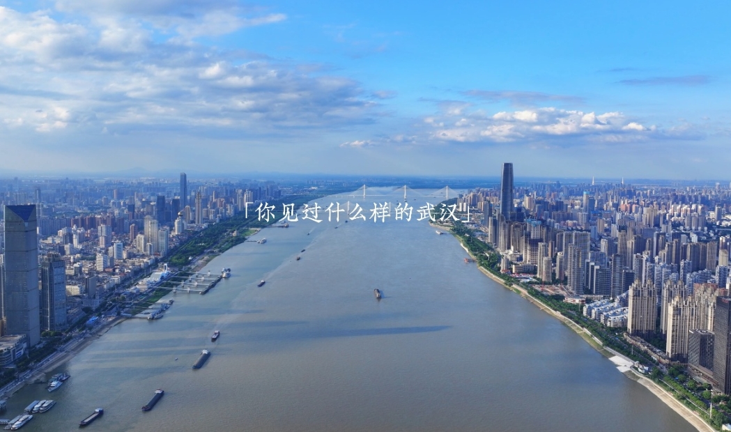 你见过怎样的武汉-1