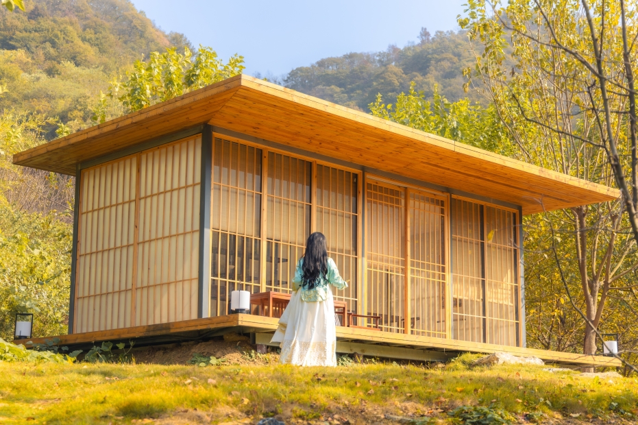 银杏林里的度假时光-9