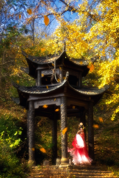 银杏树下红色汉服-3