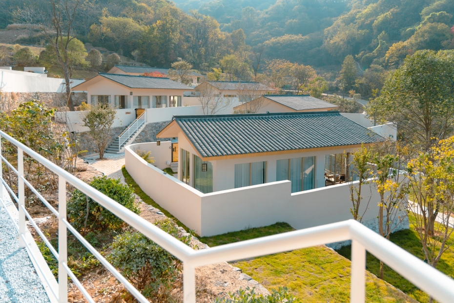 银杏林里的度假时光-6