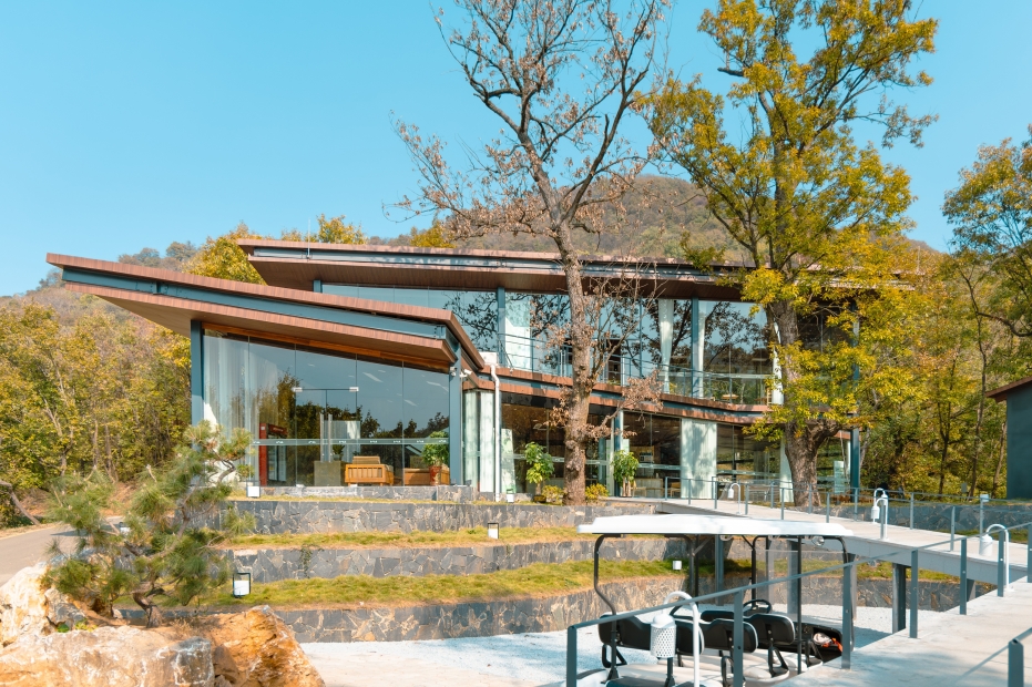 银杏林里的度假时光-7