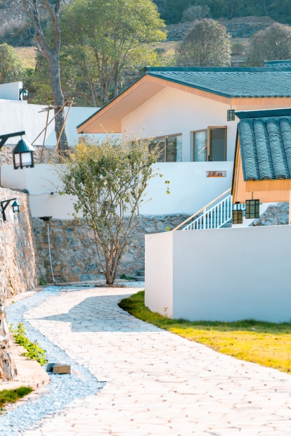 银杏林里的度假时光-5