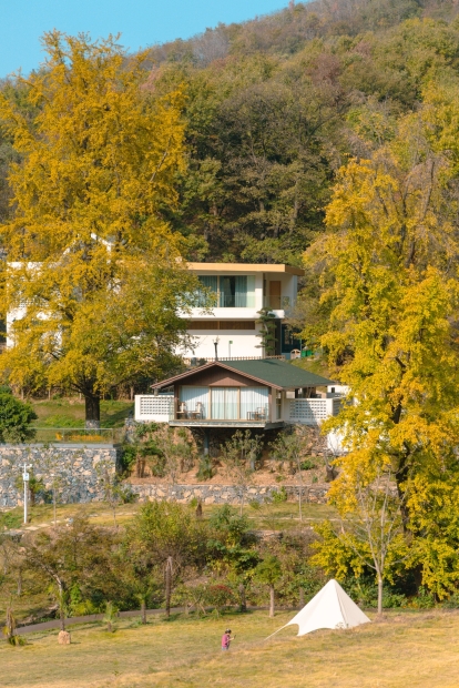 银杏林里的度假时光-1