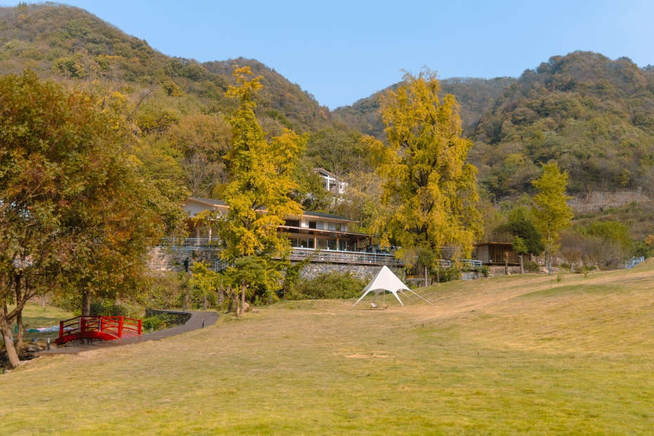 银杏林里的度假时光-3