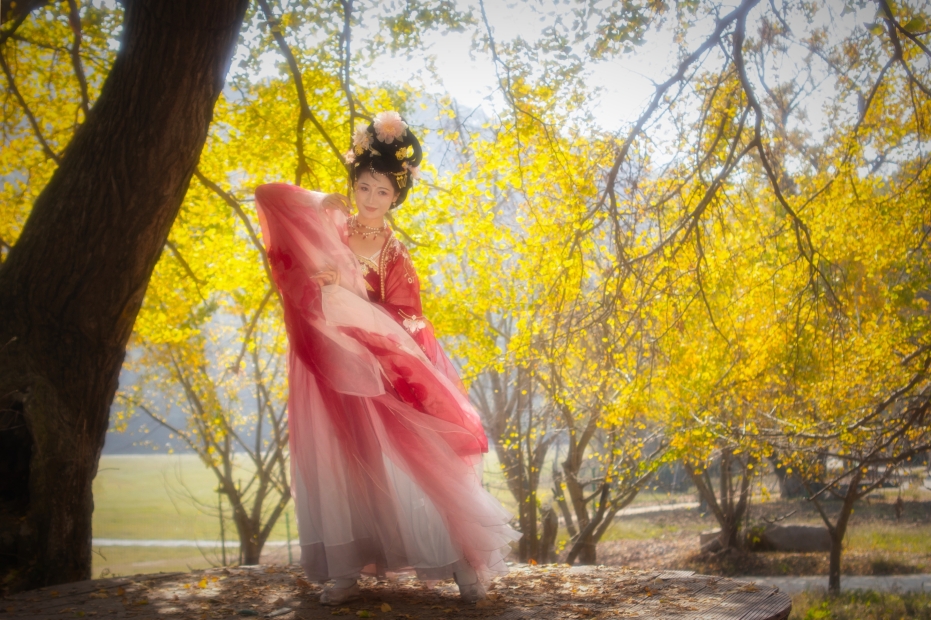 银杏树下红色汉服-5
