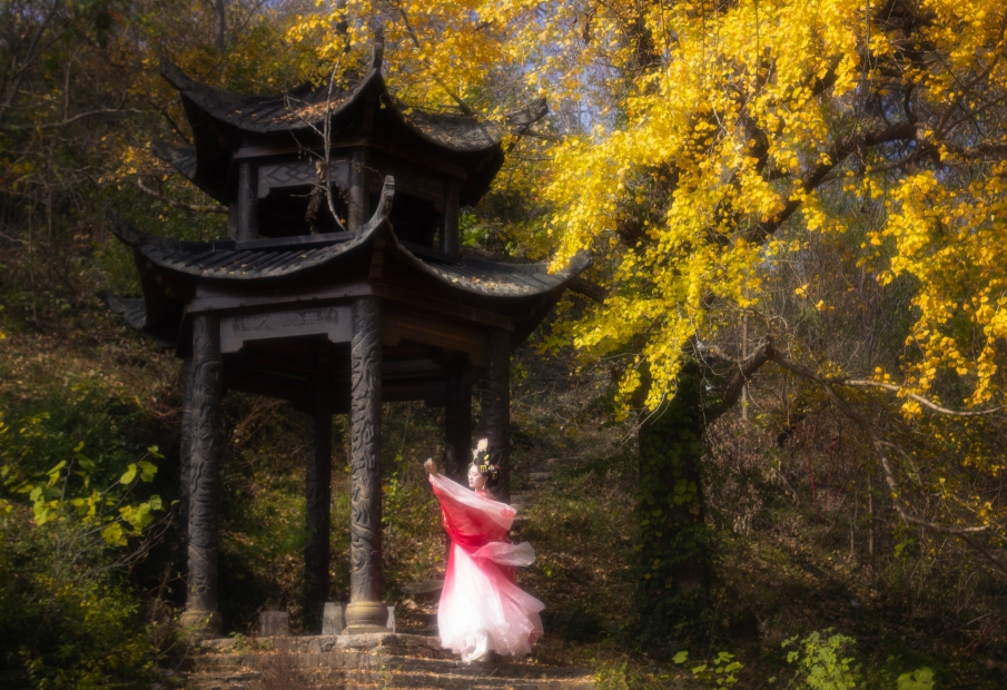 银杏树下红色汉服-2