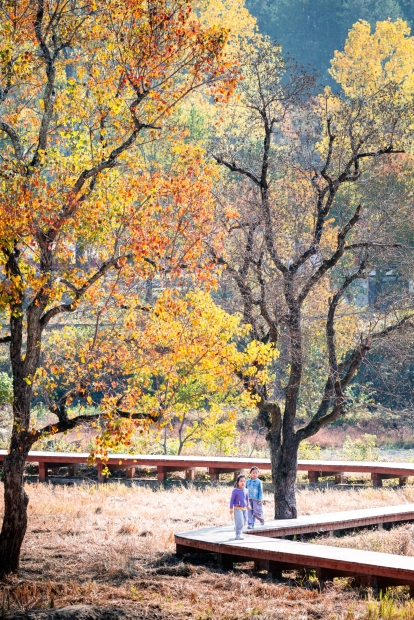 罗田九资河秋色-10