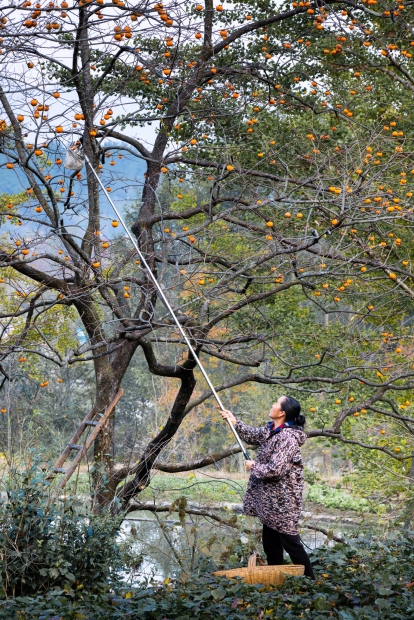 罗田九资河秋色-6