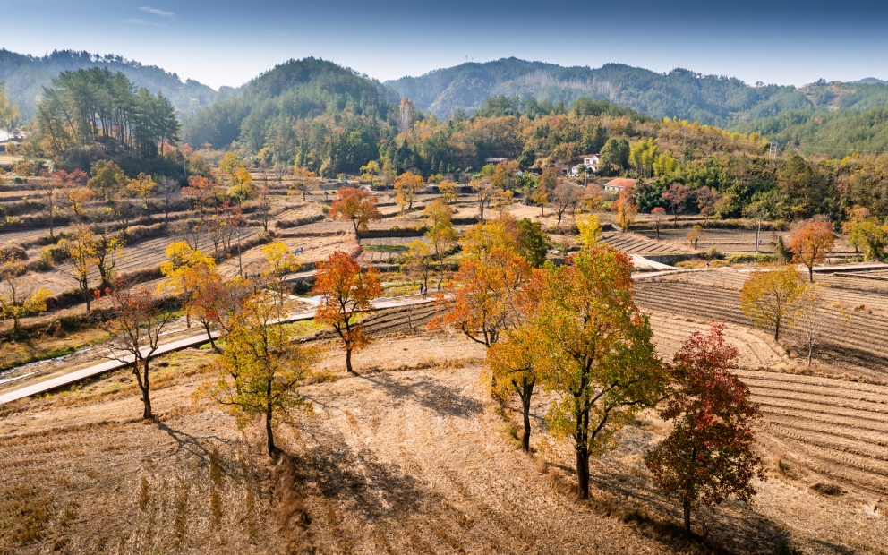 罗田九资河秋色-7