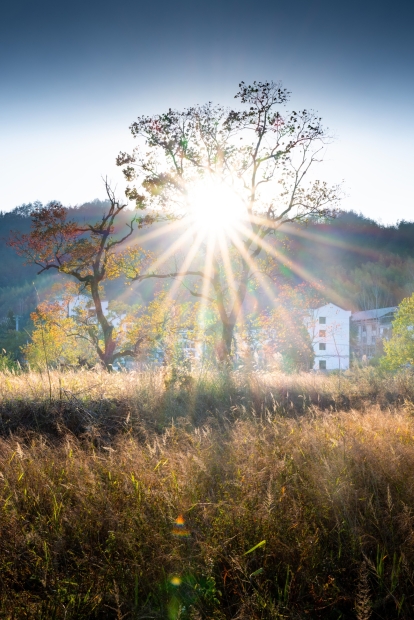 罗田九资河秋色-3