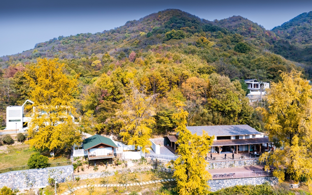 随州山月随人民宿-2