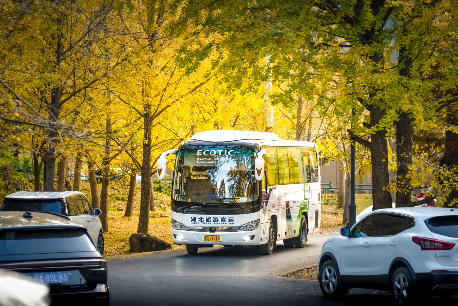 随州大洪山秋色-3