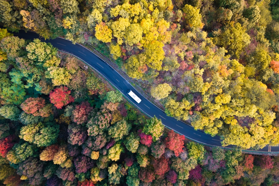 随州大洪山盘山公路秋色-2