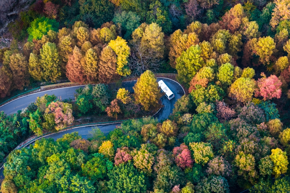 随州大洪山盘山公路秋色-1