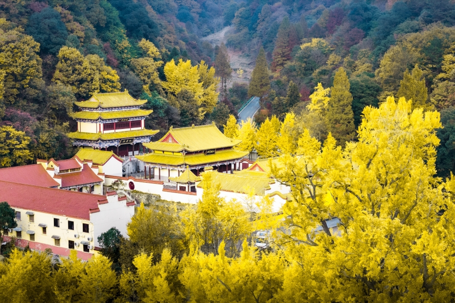 随州大洪山秋色-5